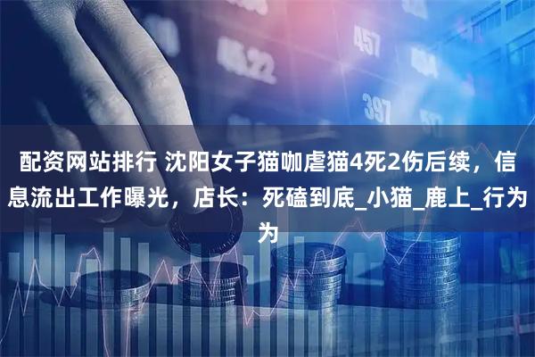 配资网站排行 沈阳女子猫咖虐猫4死2伤后续，信息流出工作曝光，店长：死磕到底_小猫_鹿上_行为