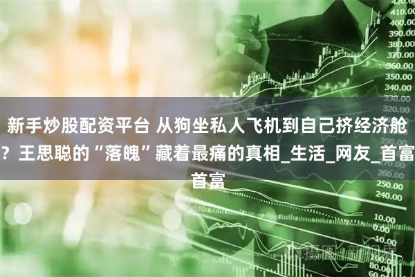 新手炒股配资平台 从狗坐私人飞机到自己挤经济舱？王思聪的“落魄”藏着最痛的真相_生活_网友_首富